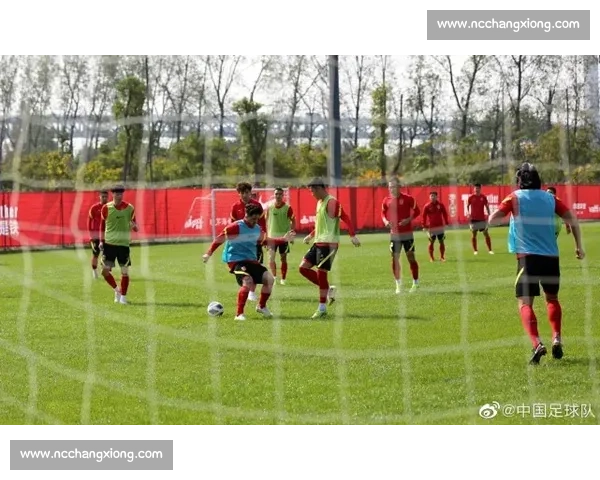 破釜沉舟的冠军心态：斯塔尼希奇的足球哲学与胜利密码