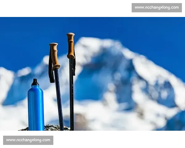 明星徒步同款！登山杖正确使用技巧全解析