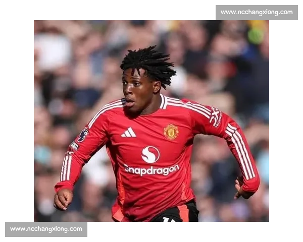 多古：曼联庞大球迷群体下的成长法则