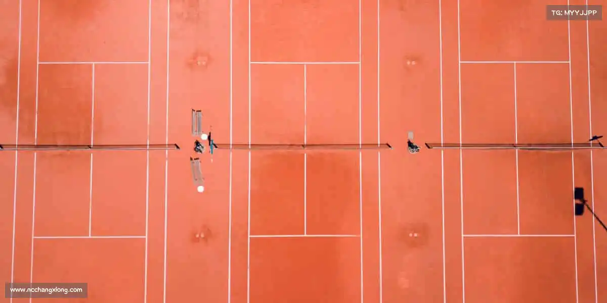 行业领先的理由